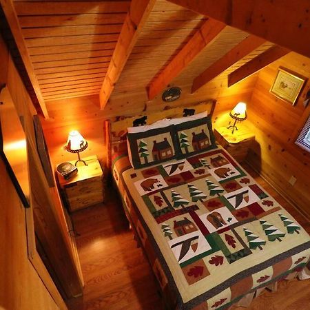 Cute Updated Mountain Cabin Fireplace #3 Helen Extérieur photo