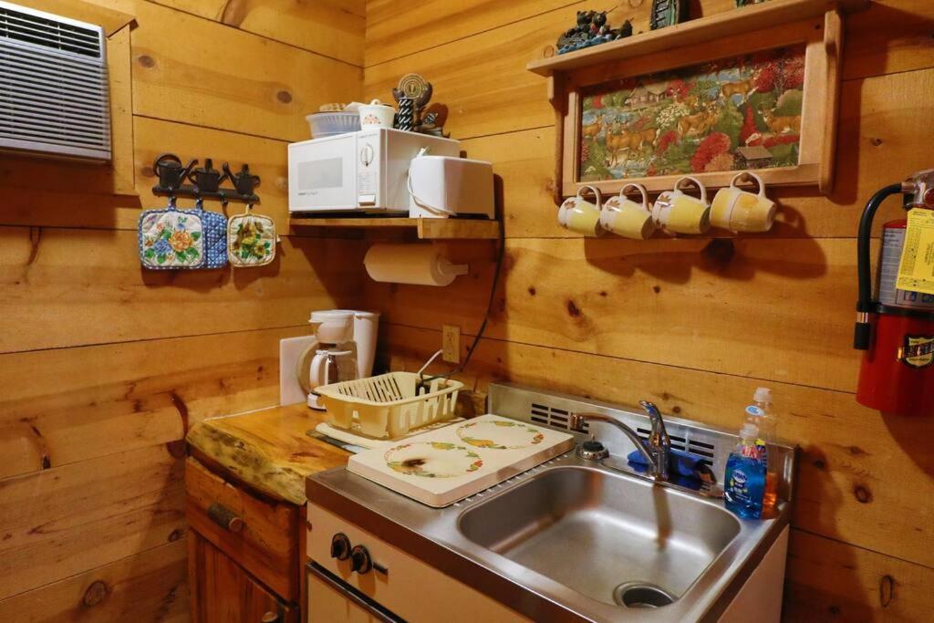 Cute Updated Mountain Cabin Fireplace #3 Helen Extérieur photo