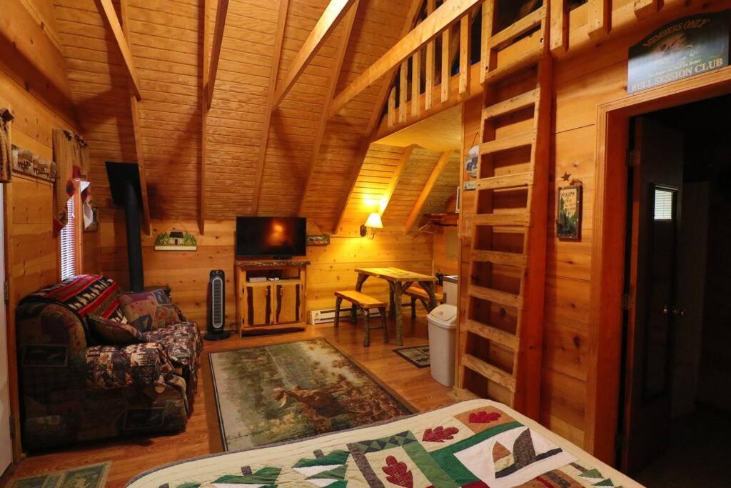 Cute Updated Mountain Cabin Fireplace #3 Helen Extérieur photo